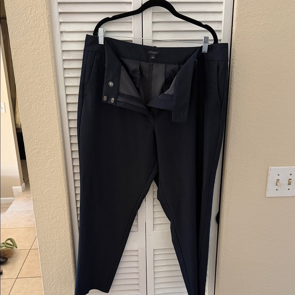 Any Taylor navy Dress Pants - Classic zip women pants size 16